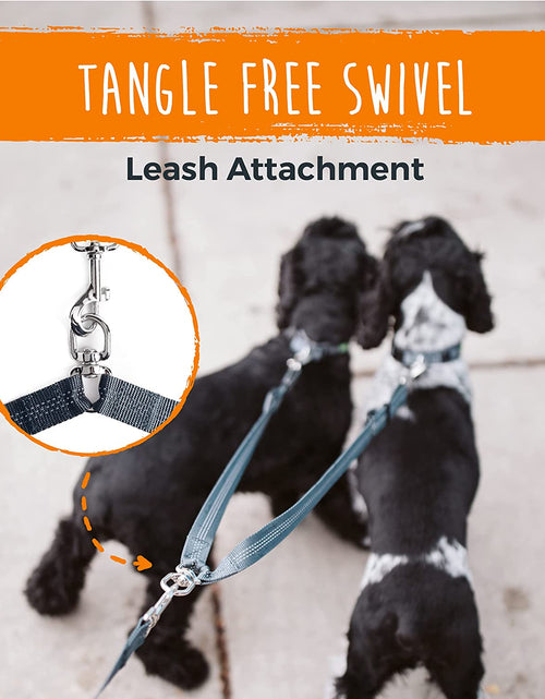 Load image into Gallery viewer, Dual Dog Leash - Suitable for Two Dogs - Leash for 2 Dogs No Tangle - Leash Splitter - Large and Small Dog Compatible - Dual Leash Attachment - Double Clip Dog Leash Coupler - Dog Splitter
