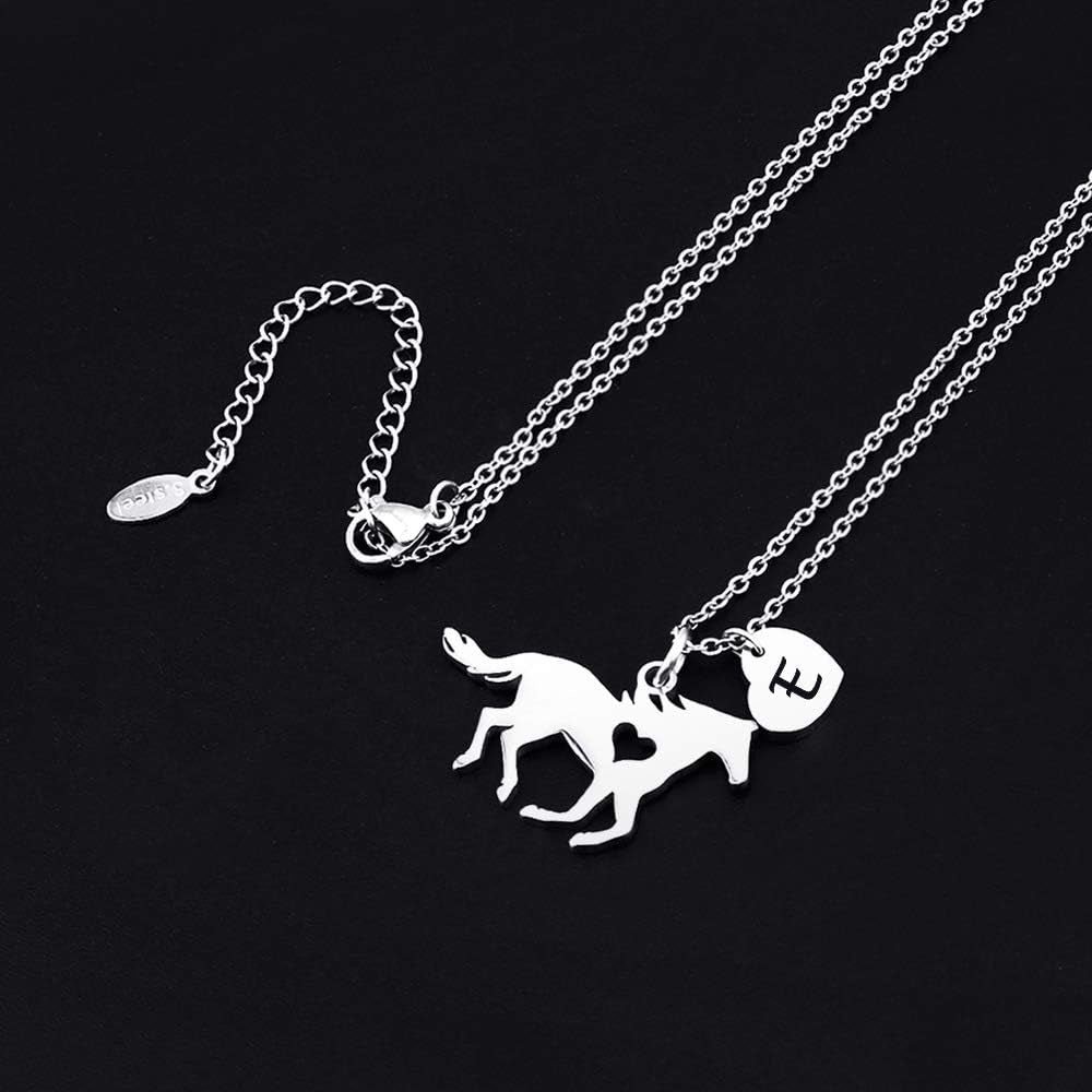 Girls Horse Necklace, Dainty Horse Jewelry for Girls Initial Necklace, Stainless Steel Kids Heart Initial Necklace Horse Girl Horse Pendant Letter Necklace Horse Gifts for Teen Girls Horse Lovers