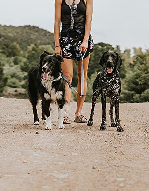 Load image into Gallery viewer, Dual Dog Leash - Suitable for Two Dogs - Leash for 2 Dogs No Tangle - Leash Splitter - Large and Small Dog Compatible - Dual Leash Attachment - Double Clip Dog Leash Coupler - Dog Splitter
