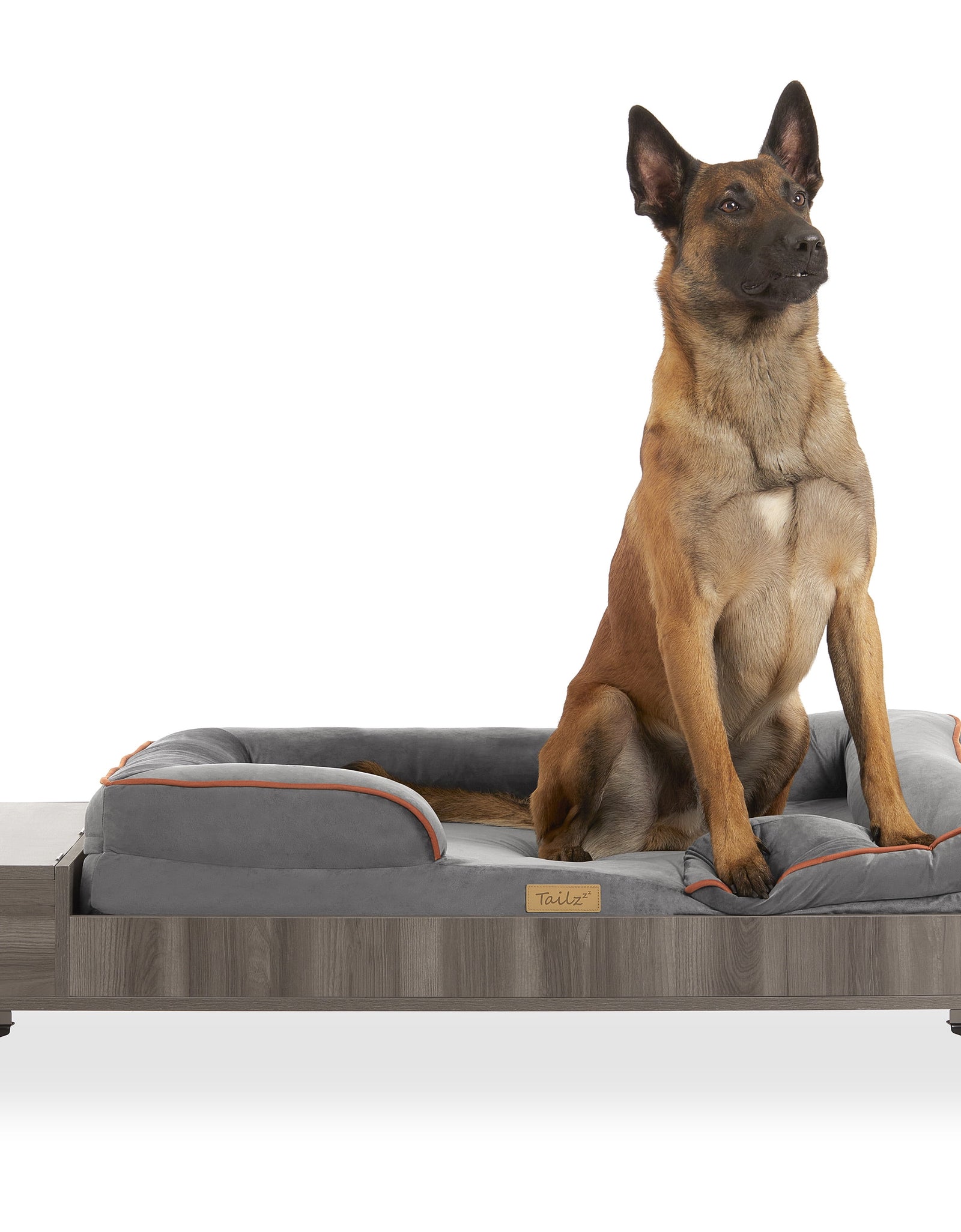 Wyatt Wooden Pet Bed with Mattress | Large to Extra Large Greenguard Gold Certified Dog Bed