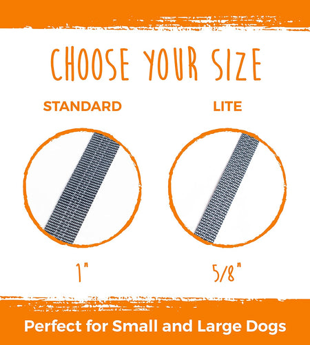 Dual Dog Leash - Suitable for Two Dogs - Leash for 2 Dogs No Tangle - Leash Splitter - Large and Small Dog Compatible - Dual Leash Attachment - Double Clip Dog Leash Coupler - Dog Splitter