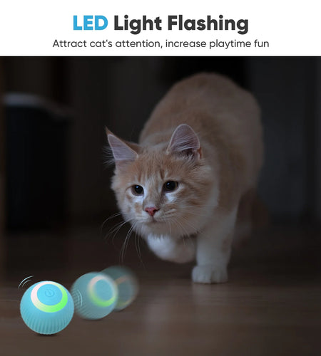 Interactive Cat Toys Ball Automatic Rolling & USB Rechargeable with LED Light for Indoor Playing, Green
